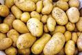 История картофеля для детей