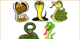 Мифологическая змея 5 букв