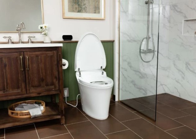 Руководство по выбору биде